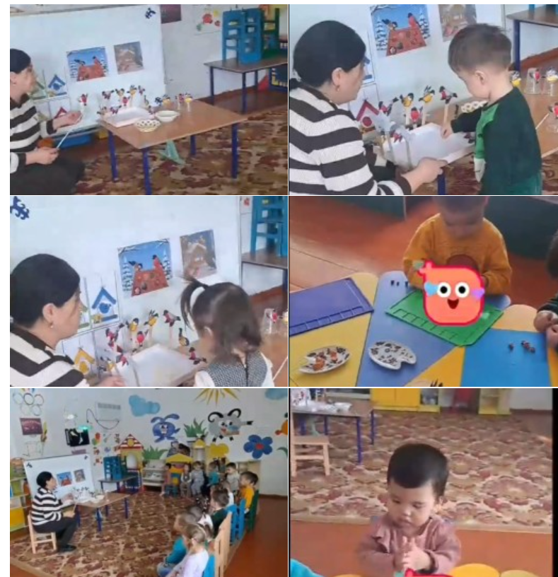 Құстарға жем шашайық.